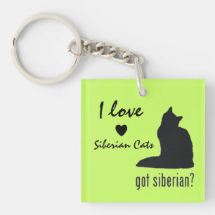 Die Schlüsselkette der sibirischen Schlüsselanhänger