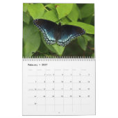 Die Schmetterlinge des Catskills Kalender (Feb 2027)