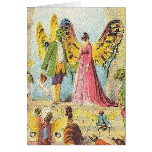 Die Schmetterlingskalle (Vorne)