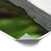 Die Schmetterlingspost Poster (Ecke)