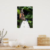 Die Schmetterlingspost Poster (Küche)