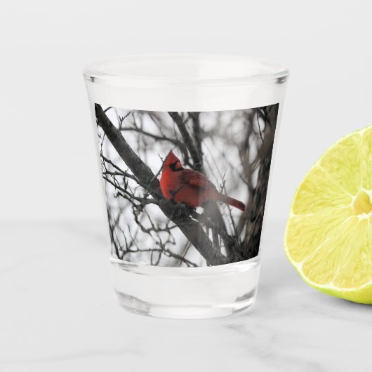 Die Schnapsglas (Vorderseite)