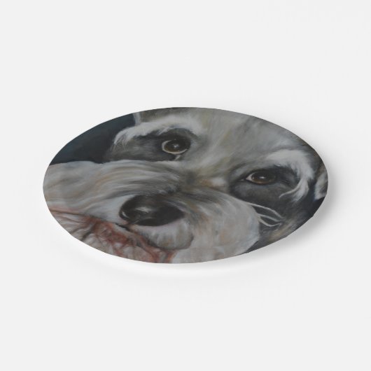 Die Schnauzer-Paper-Teller Pappteller (Schrägansicht)
