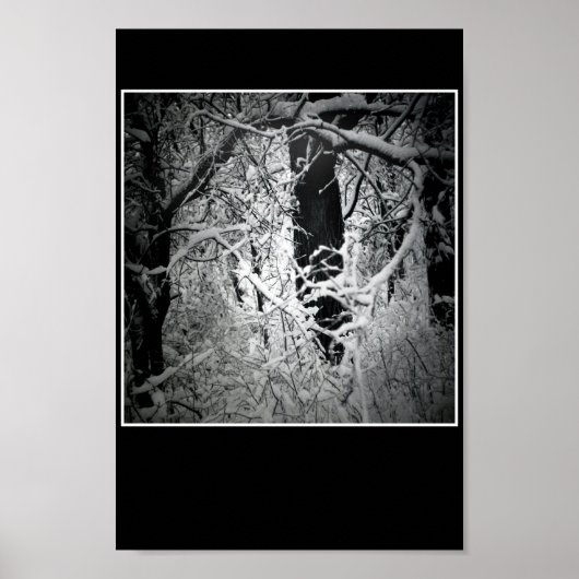 die Schneekönig Poster (Vorne)