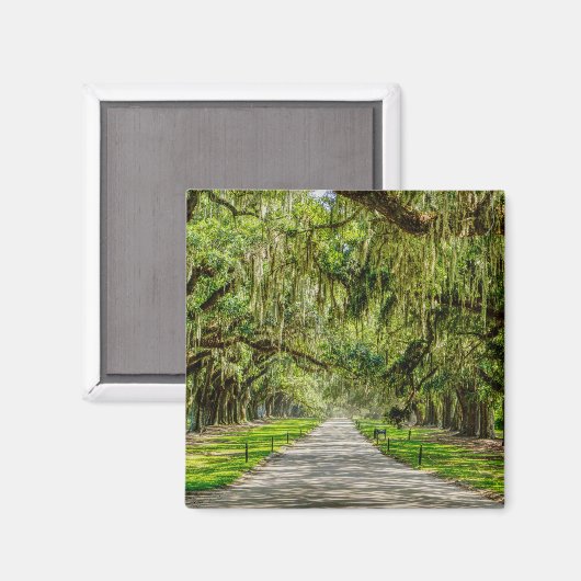 Die schöne Allee der Eichen Magnet (Vorderseite/Rückseite)