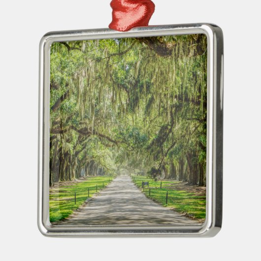 Die schöne Allee der Eichen Ornament Aus Metall (Links)