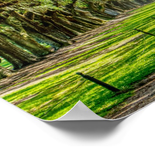 Die schöne Allee der Eichen Poster (Ecke)