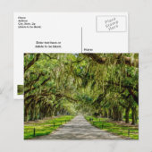 Die schöne Allee der Eichen Postkarte (Vorne/Hinten)