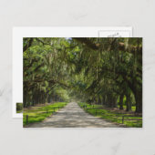 Die schöne Allee der Eichen Postkarte (Vorne/Hinten)