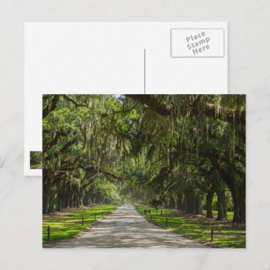 Die schöne Allee der Eichen Postkarte (Vorne/Hinten)