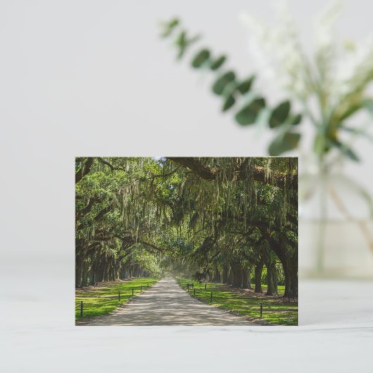 Die schöne Allee der Eichen Postkarte (Stehend Vorderseite)