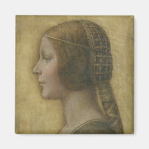 Die schöne Prinzessin (von Leonardo da Vinci)