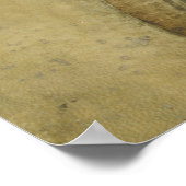 Die schöne Prinzessin (von Leonardo da Vinci) Poster (Ecke)