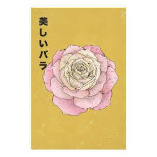 Die schöne Rose Fotodruck