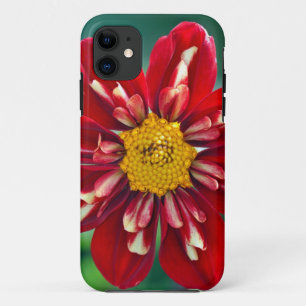Die schöne rote Dahlia-Printkiste iPhone 11 Hülle