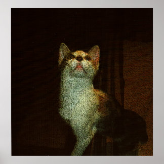 Die schöne Süße Poster