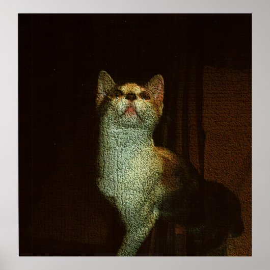 Die schöne Süße Poster (Vorne)