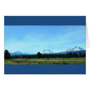 Die schönen Schwestern!