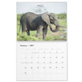 Die Schönheit Afrikas Kalender (Feb 2027)