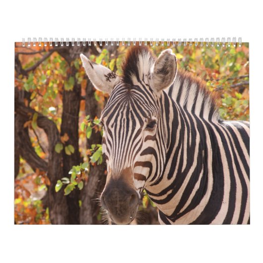 Die Schönheit Afrikas Kalender (Titelbild)