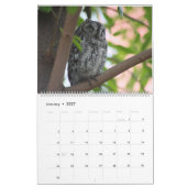 Die Schönheit Afrikas Kalender (Jan 2027)