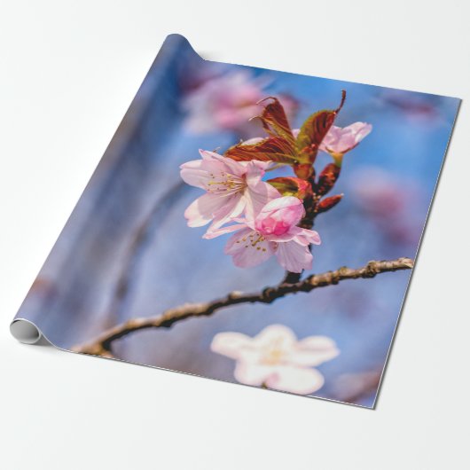 Die Schönheit der Blume von Sakura Geschenkpapier (Ungerollt)