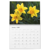 Die Schönheit der Düfte Kalender (Jan 2027)