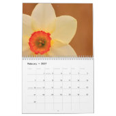 Die Schönheit der Düfte Kalender (Feb 2027)