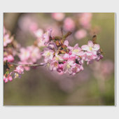 Die Schönheit der Kirschblüten von Sakura wird nie Geschenkpapier (Flach)