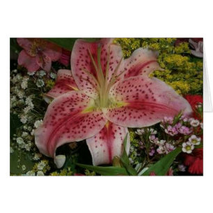 Die Schönheit der Natur