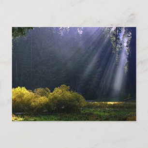 Die Schönheit der Natur Postkarte