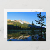 Die Schönheit der Natur Postkarte (Vorne/Hinten)