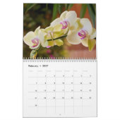 Die Schönheit der Orchideen Kalender (Feb 2027)