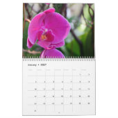 Die Schönheit der Orchideen Kalender (Jan 2027)