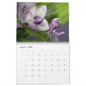 Die Schönheit der Orchideen Kalender (Mär 2027)
