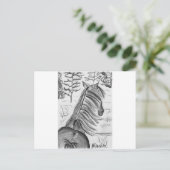 Die Schönheit der Pferde Nr.1 Postkarte (Stehend Vorderseite)