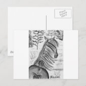 Die Schönheit der Pferde Nr.1 Postkarte (Vorne/Hinten)