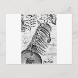 Die Schönheit der Pferde Nr.1 Postkarte