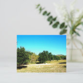 Die Schönheit der Postkarte von Bandera Texas (Stehend Vorderseite)