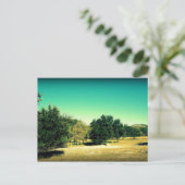 Die Schönheit der Postkarte von Bandera Texas #2 (Stehend Vorderseite)