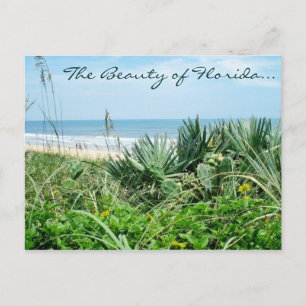 Die Schönheit der Postkarte von Florida