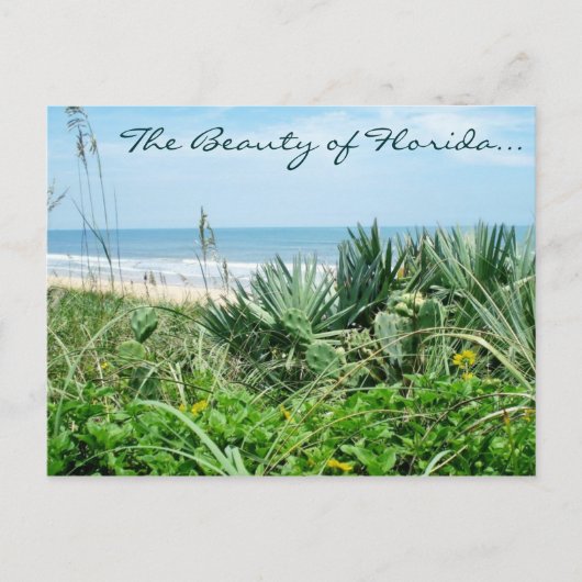 Die Schönheit der Postkarte von Florida (Vorderseite)