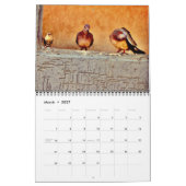Die Schönheit der Tauben Kalender (Mär 2027)