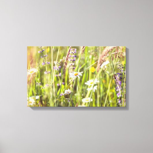 Die Schönheit der wilden Blume auf dem Land Leinwanddruck (Vorderseite)