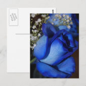 Die Schönheit des Blauen Postkarte (Vorne/Hinten)