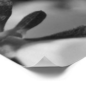 Die Schönheit des dritten Frühjahrs Poster (Ecke)