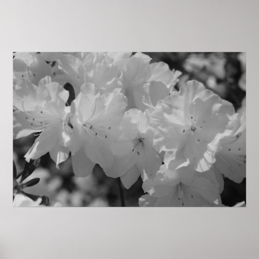 Die Schönheit des dritten Frühjahrs Poster (Vorne)