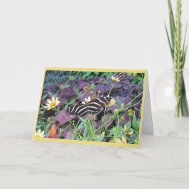 Die Schönheit des Frühlinges Karte