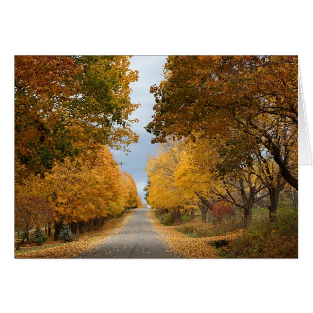 "Die Schönheit des Herbstes" (Vorderseite (Horizontal))