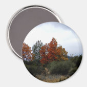 Die Schönheit des Herbstes... Magnet (Vorderseite/Rückseite)